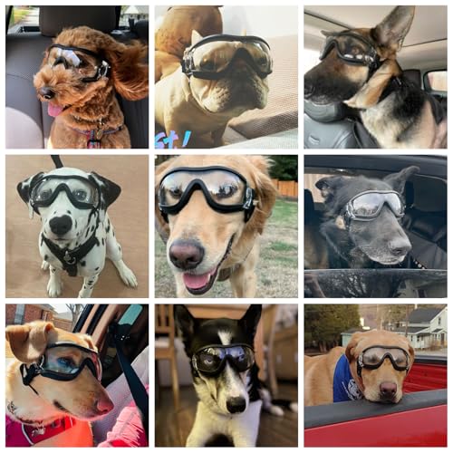 Dog Goggles Large Breed Windproof Anti (Large / Clear)