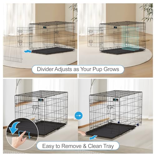 PetsTuff Great CRATES 36” Large Dog Crate (36 inch / Two Doors)
