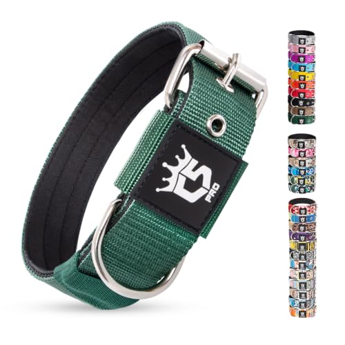 Heavy Duty Thick Dog Collar with Metal Buckle for Medium Dogs (M – Fits Neck 15.8"-18.9" / Basic Green)