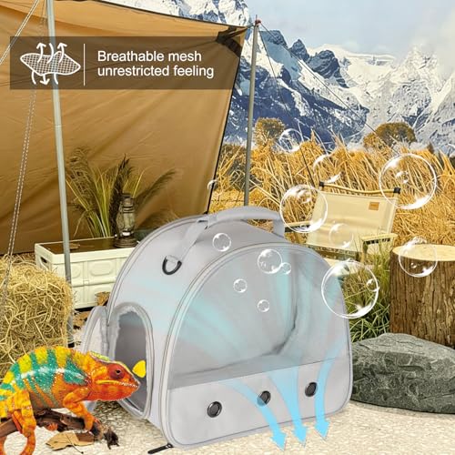 Ventilation Lizard Carrier for Bearded Dragon (Grey)
