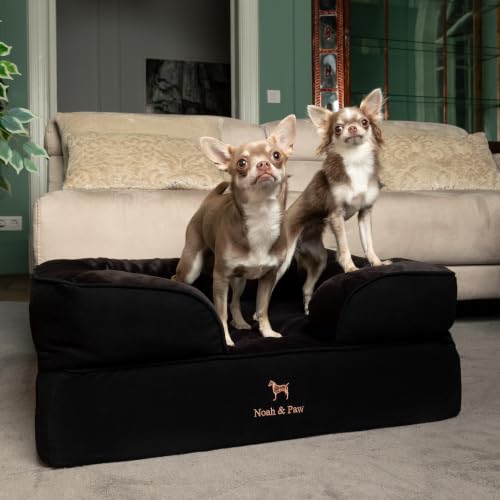 Dog Bed Orthopedic Memory Cooling Foam (Black - DE / Medium)