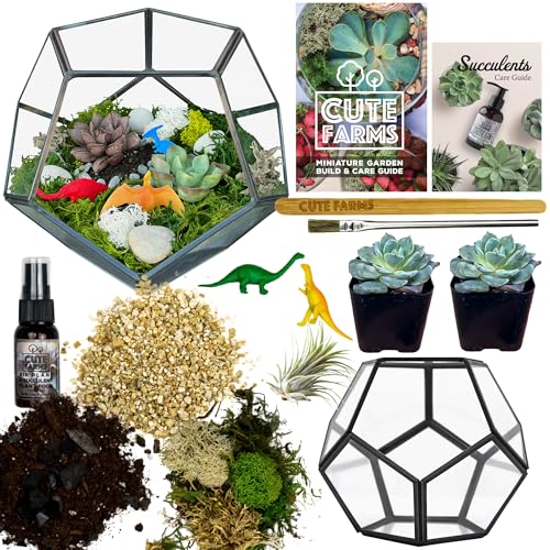 Glass Terrarium Kit (Geometric Glass + Live Plants)
