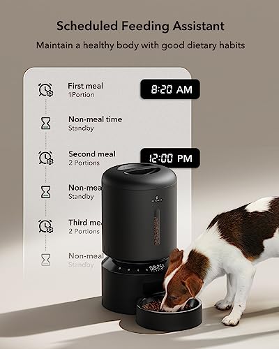 Automatic Cat Feeder (Black / Basic)