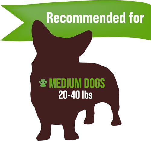 Dog Chews Antlers for Dogs (2 Pack / Medium)