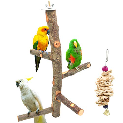Bird Perch Nature Apple Hard Wood Stand (Set 1)