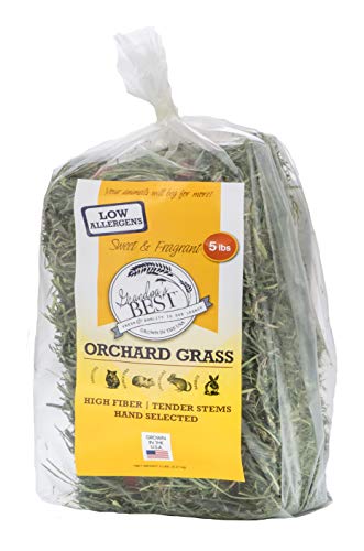 Orchard Grass Bale (5 Pound (Pack of 1))