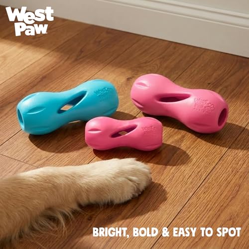 Qwizl Durable Zogoflex Dog Puzzle Toy for Mental Stimulation (Large / Teal)
