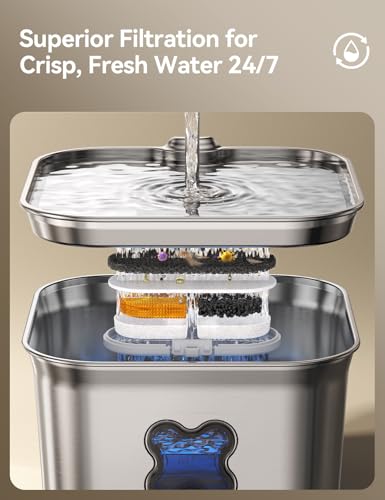Cat Water Fountain