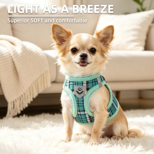 Dog Harness Collar and Leash Set No Pull for Small Medium Sized (Lake Green / M (CHEST 16"-18"))