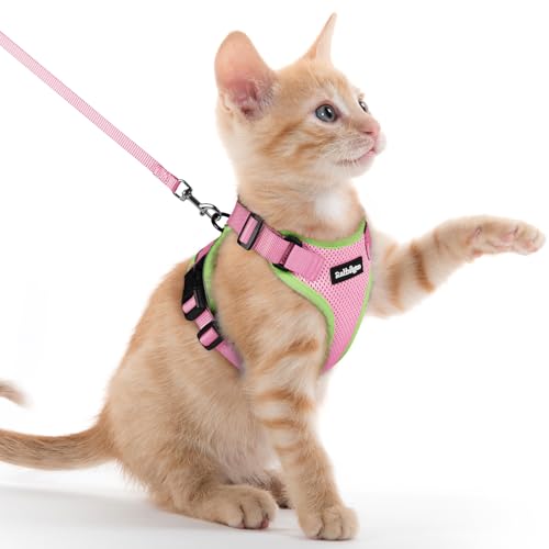 Cat Harness and Leash Set (Xxs / Pink & Light Green)