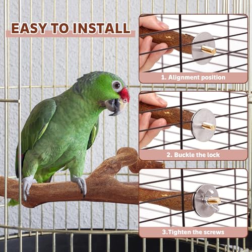 4PCS Bird Perch Natural Wooden Parrot Stand