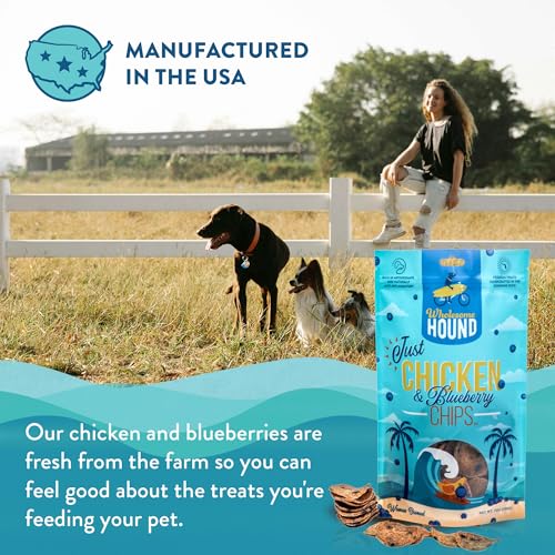 Chicken Blueberry Chips Dog Treats (7–8 Ounce)