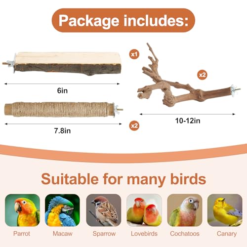 Bird Perch Stand
