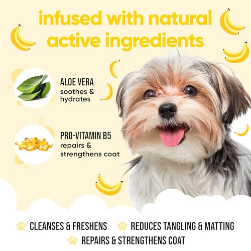 Banana Dog Shampoo & Conditioner by Buddycare (50.72oz)