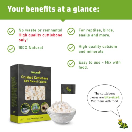 Crushed 100% Natural Calcium Supplement