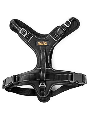 Sport Harness 2.0 (Large / Black)
