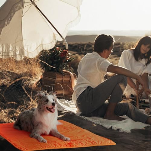 Travel Dog Bed (Orange / X-Large)