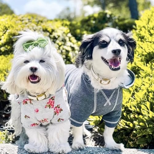 Essentials Dog Hoodie (14 inch (Pack of 1) / Dog Hoodie - Charcoal Grey)