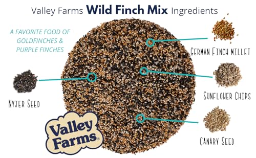 Wild Finch Mix