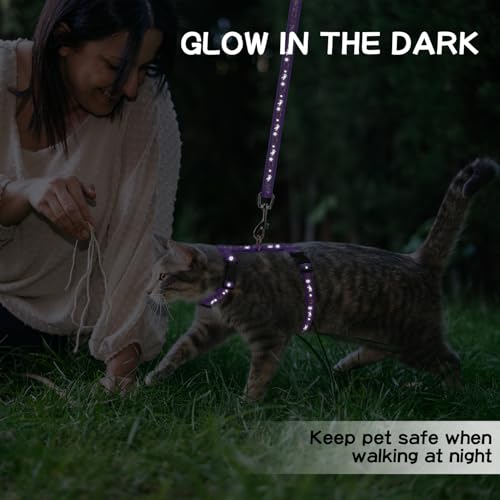 Cat Harness with Leash and Collar Set (Small / Purple)