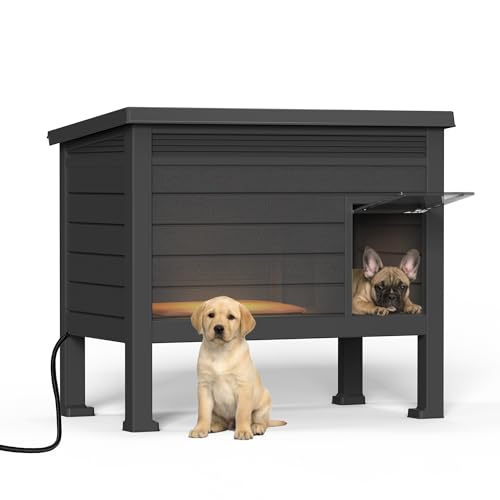 Indoor & Outdoor Resin Dog House with Raised Floor (Black-H / 31.02*19.09*26.73)