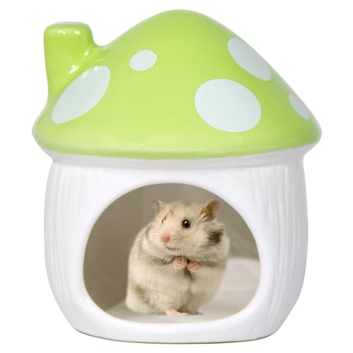 Ceramic Hide Hamster Hideout Small Pets Habitat House Accessories (Green)