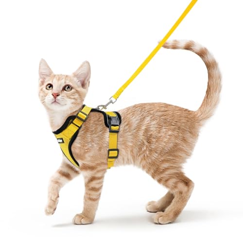 Cat Harness and Leash Set (S / Yellow)