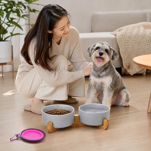 Ceramic Dog Bowl Set with Wood Stand (Grey / 400ML*2)