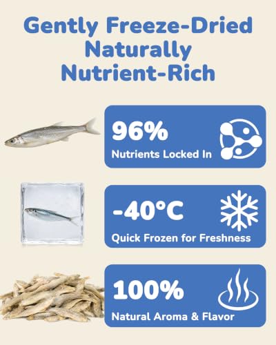 Freeze Dried Minnows Dog Treats