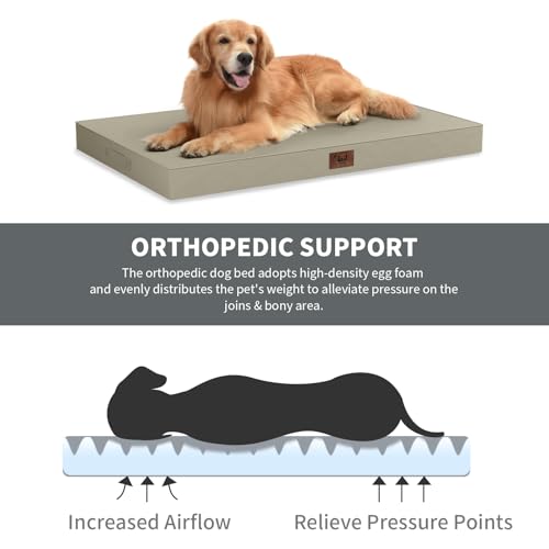 Outdoor Waterproof Orthopedic Dog Bed for Medium Size Dogs (khaki / 35.0"L x 22.0"W x 3.0"Th)