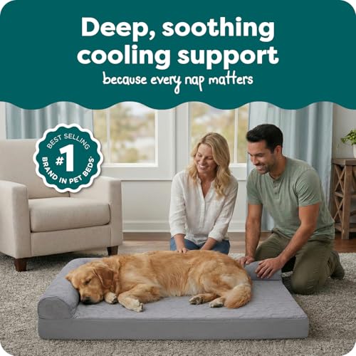 Cooling Gel Dog Bed for Large Dogs w (Jumbo / (Quilted Paw) Titanium)