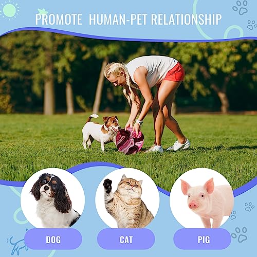 Pet Snuffle Ball (Fantasy pink / 15cm)