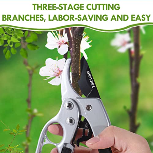 Premium Germany Pruning Shears (Black)