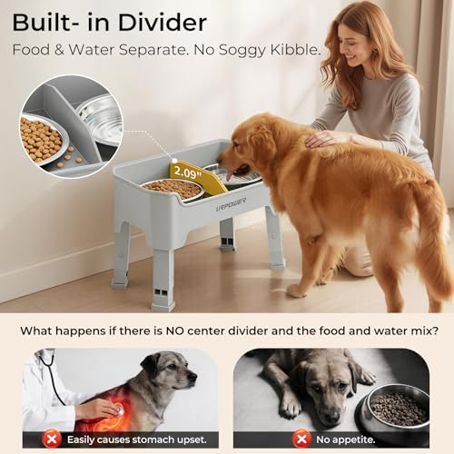 Mess Proof Elevated Dog Bowls (Light Grey / Medium)