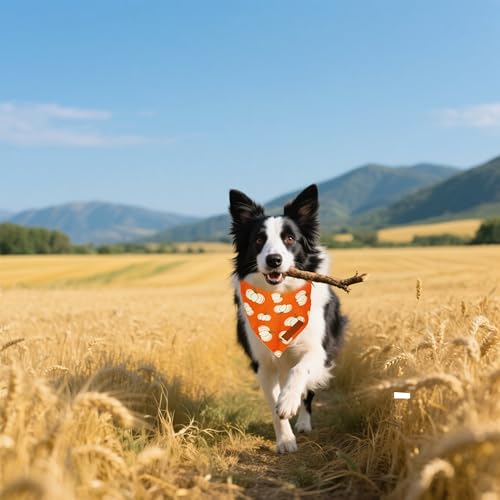 Thanksgiving Fall Dog Bandanas 2 Pack (Fall / Small)