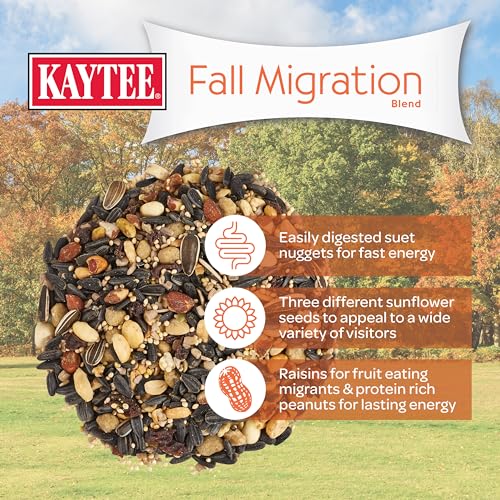 Wild Bird Food (Fall Migration)