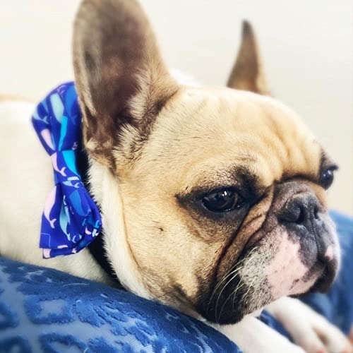 Pet Bow Tie for Dogs & Cats (Small)