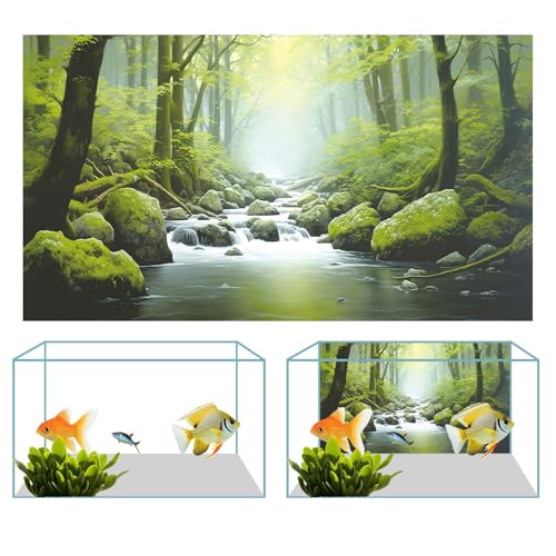 48X24IN Tropical Forest Terrarium Background (48X24in/120X60cm / Forest)