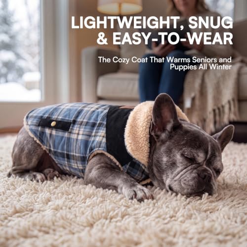 XS Plaid Dog Winter Jacket Waterpoof Coat Warm Cold Weather Vest (X-Small / Blue Plaid)