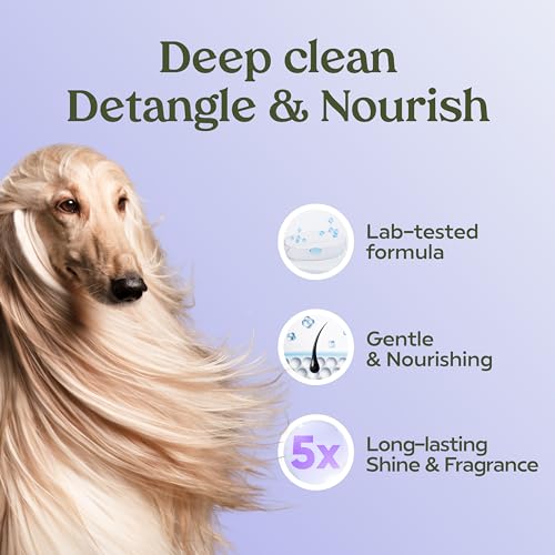 PAWFUME Dog Shedding Shampoo and Conditioner (Shampoo & Conditioner Royal Lavander / Pack of 1)