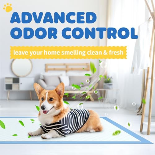 Puppy Pads for Dogs (34" x 28" (100 Packs))