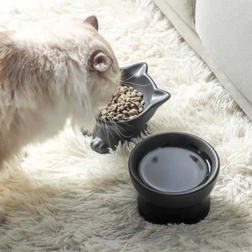 Elevated Cat Bowls (4.5 OZ+8 OZ / Matte Black)