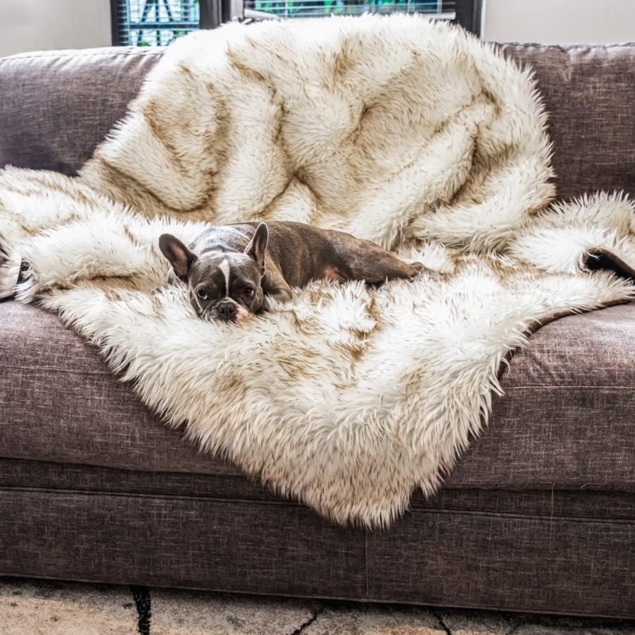 PupProtector Waterproof Throw Blanket for Dogs and Cats (White With Brown Accents / Large (80" L x 62" W))