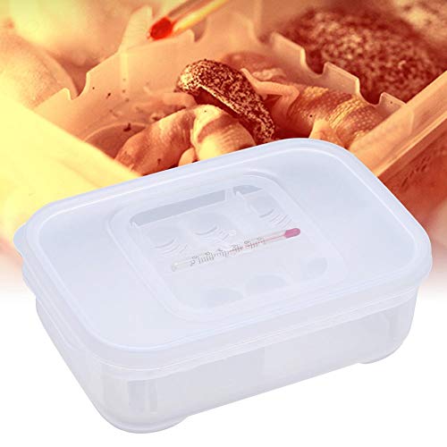 Reptile Breeding Box