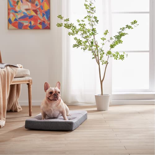Orthopedic Memory Foam Dog Bed (Grey / Medium: 29" x 18" x 3")
