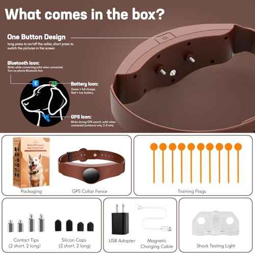 Wireless Dog Fence (Off White)