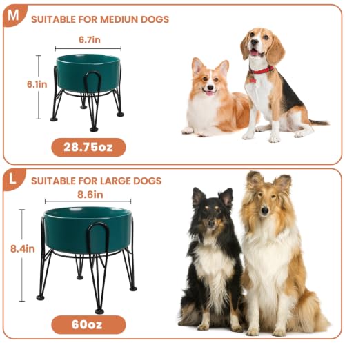 Elevated Dog Bowls (Green / 3.6 Cups | 2 Pack | For Medium Dogs)