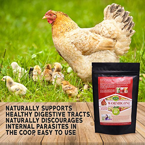 Premium Chicken Nesting Herbs (4 Pound (Pack of 1))