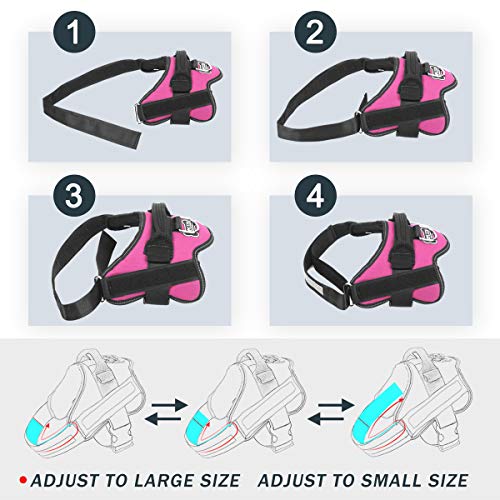 Dog Harness No (X-Small (Pack of 1) / Rose red)
