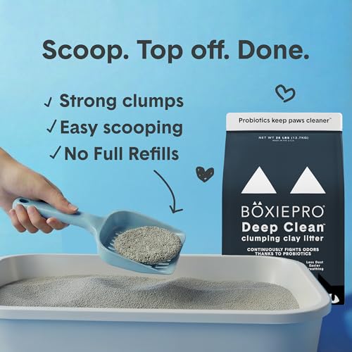 Boxie Probiotic Clumping Cat Litter 40+ Day Odor Control Dust Free 40 lb (40 lb)